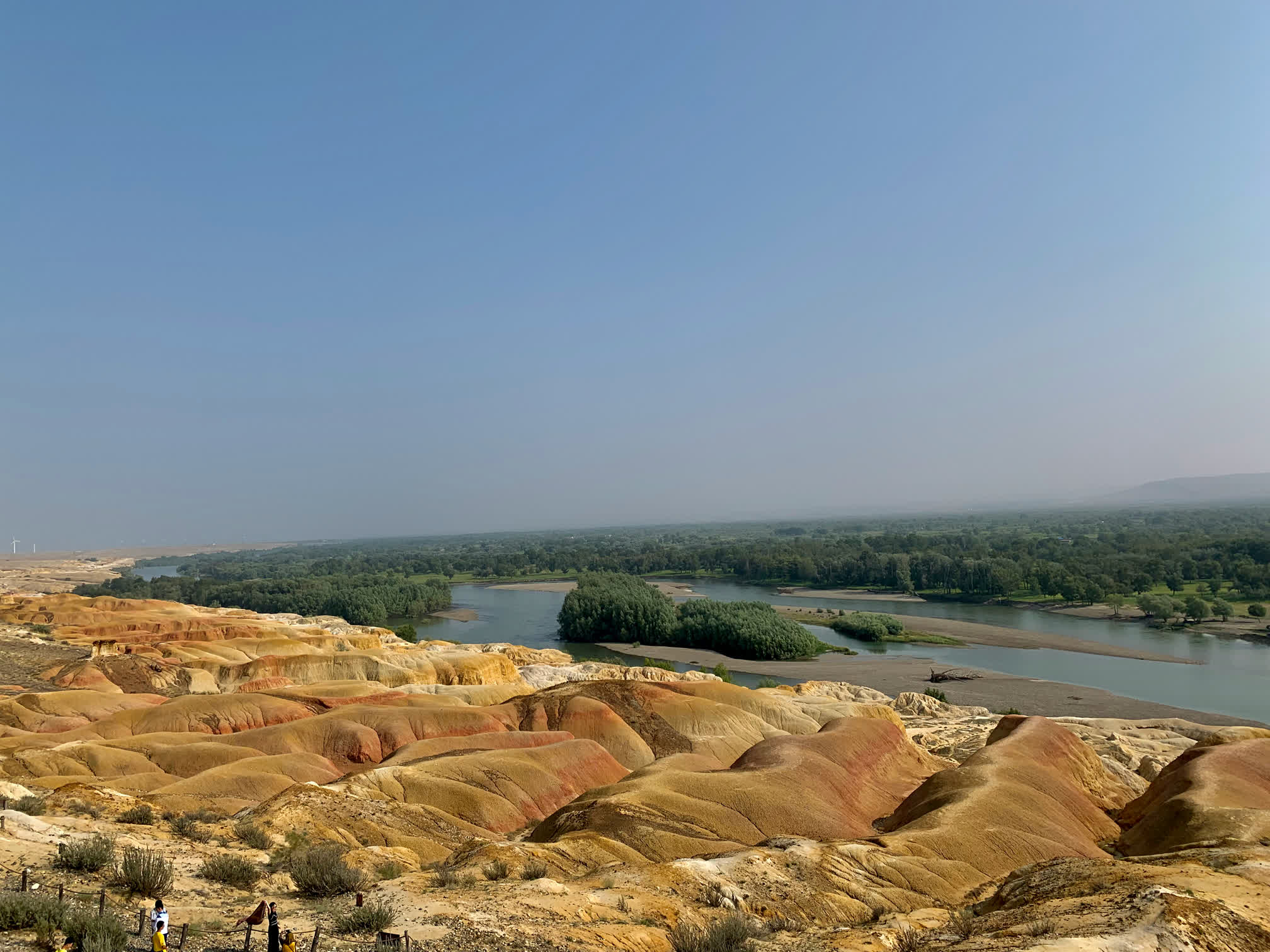 20190728-180338.jpg