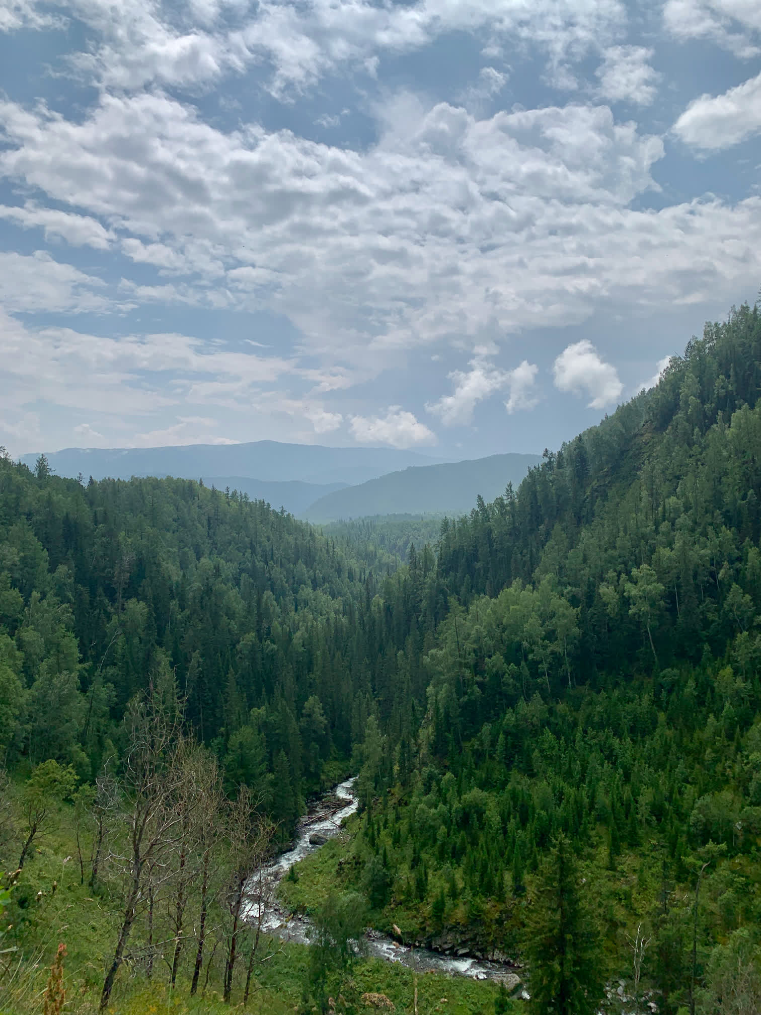 20190731-142309.jpg