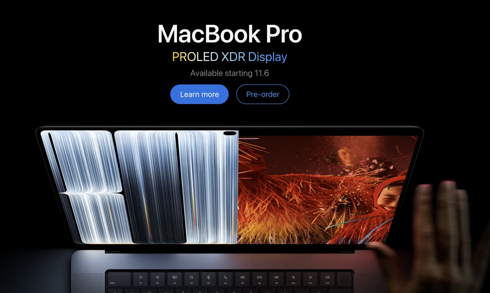 proled.webp