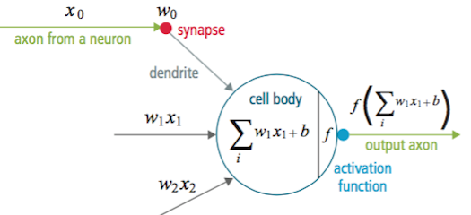 Basic Principles of Neural Networks