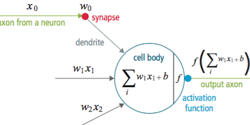 Featured Image for Basic Principles of Neural Networks