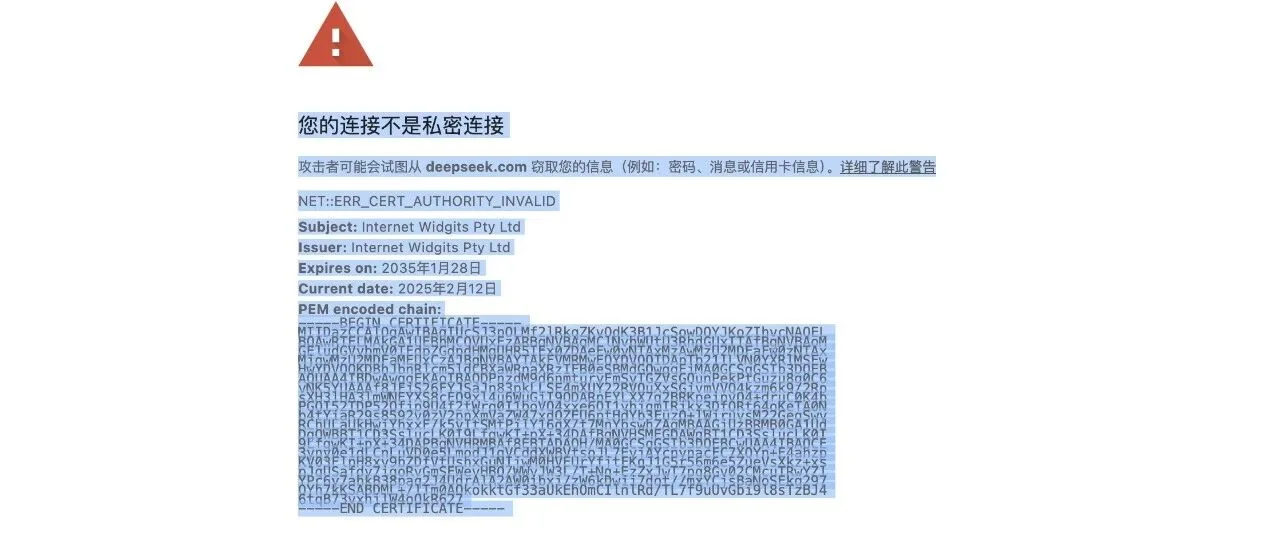 DeepSeek.com网站证书错误