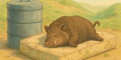 Featured Image for I Finished Translating the Second Edition of DDIA: An Eight-Year Parable About AI
