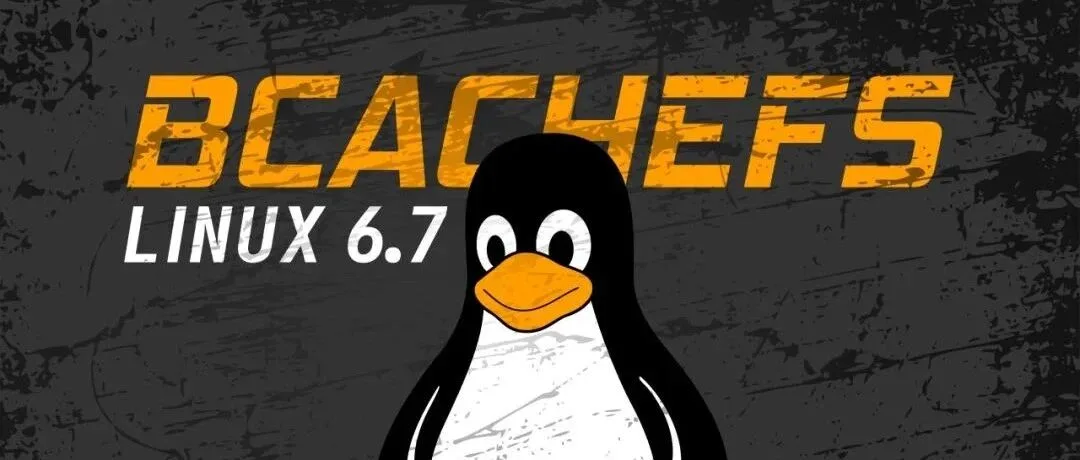 分道扬镳：bcachefs作者对Linus口吐芬芳