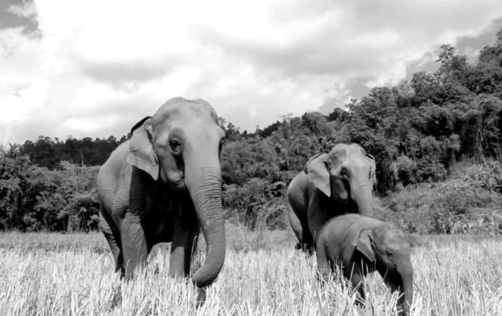PostgreSQL 官网中文版：pg.center