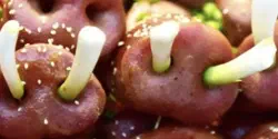 Featured Image for PostgreSQL监控系统Pigsty概述