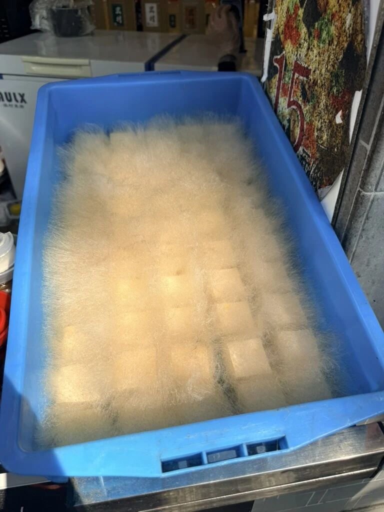 安徽特色毛豆腐